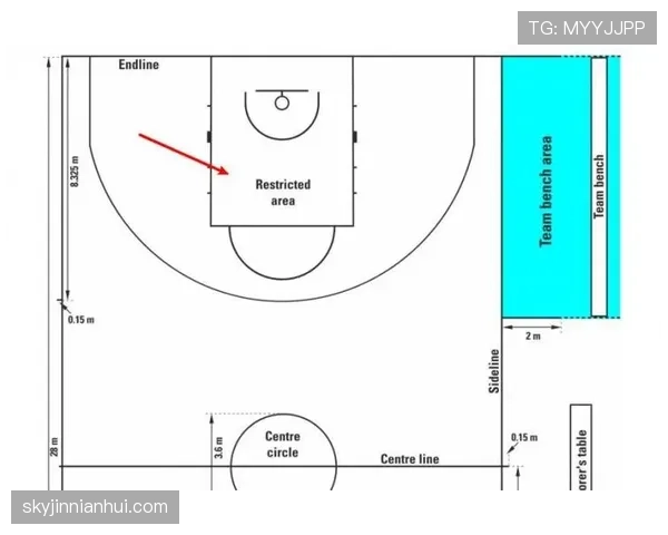 深度解析罚球规则NBA与FIBA区别的核心细节 深度解析罚球规则NBA与FIBA区别的核心细节